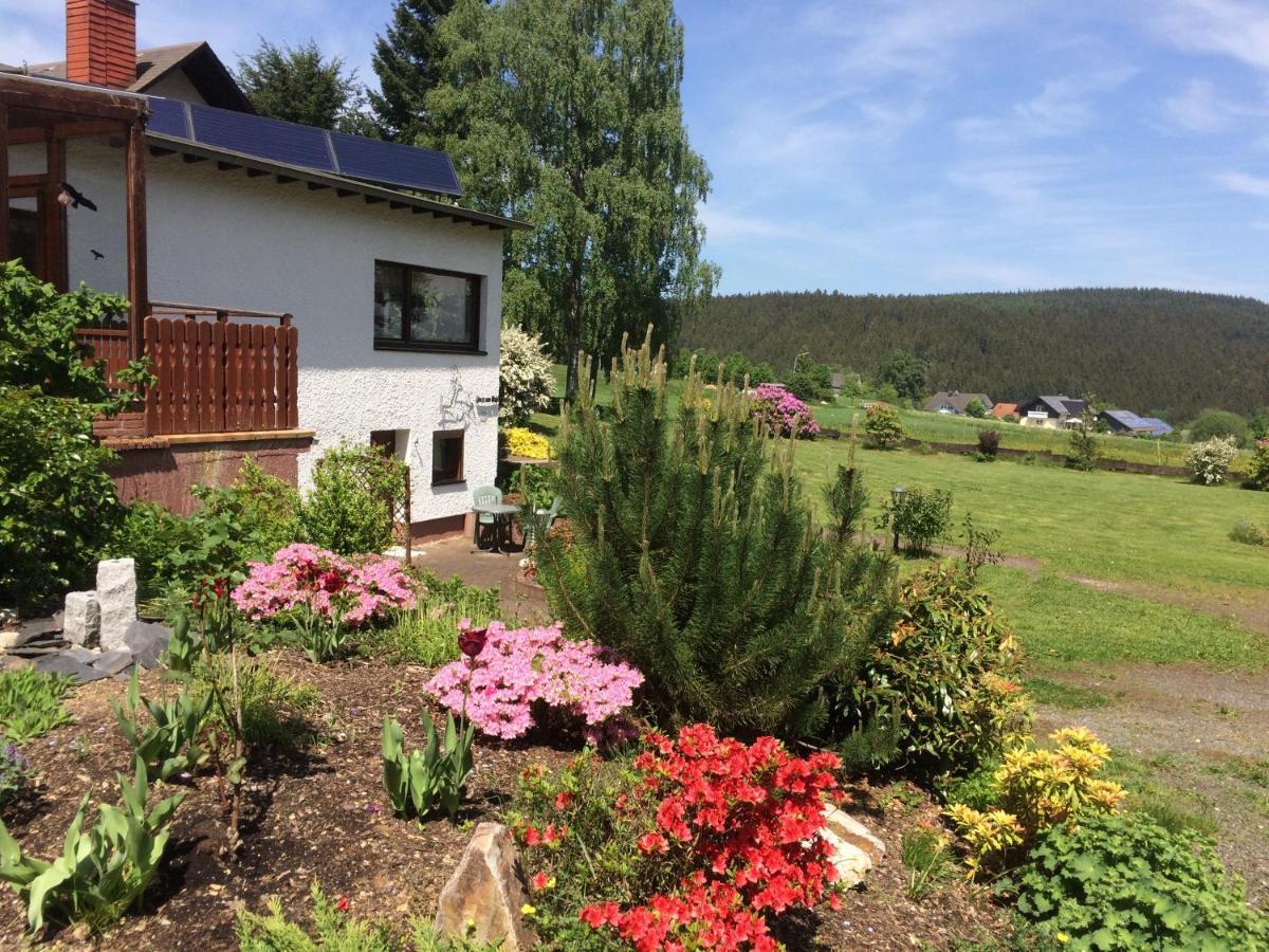 Haus Am Wald - Urlaub Am Nationalpark Apartment Langweiler  Exterior photo
